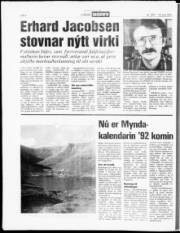 Síða 6