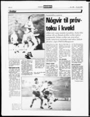 Síða 10