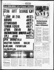 Síða 13