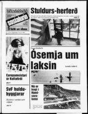 Síða 1