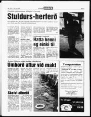 Síða 3