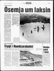 Síða 5