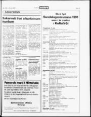 Síða 13