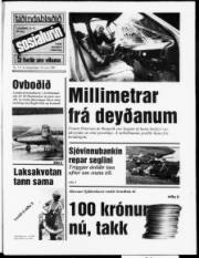 Síða 1