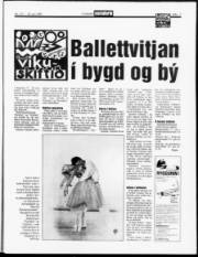 Síða 7