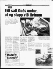 Síða 8