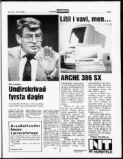 Síða 3