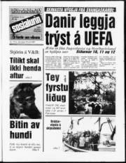 Síða 1
