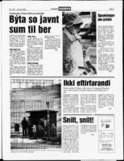 Síða 3