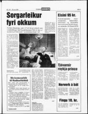 Síða 3