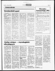 Síða 13
