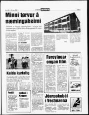 Síða 3