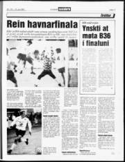 Síða 17