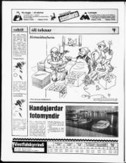 Síða 20