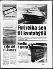 Síða 1