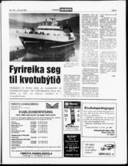 Síða 3