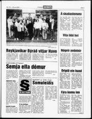 Síða 3