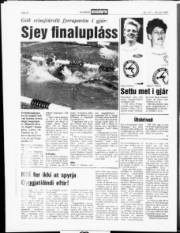 Síða 10
