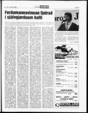 Síða 13