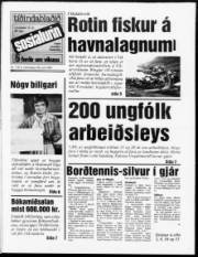 Síða 1