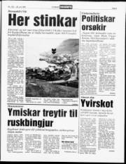 Síða 5