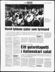 Síða 12