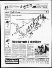 Síða 16