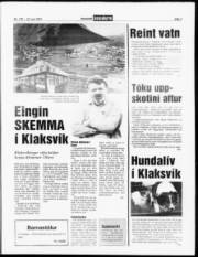 Síða 7