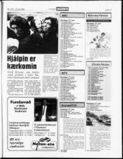 Síða 19