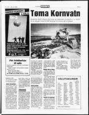 Síða 5