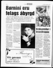 Síða 6