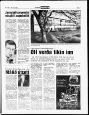 Síða 7
