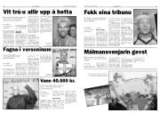 Síða 12