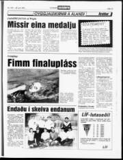Síða 13
