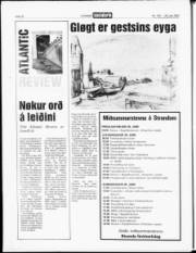 Síða 18