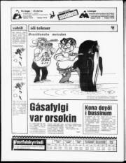 Síða 20
