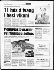 Síða 3