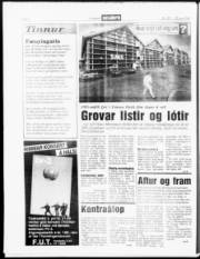 Síða 6