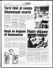 Síða 7