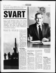 Síða 3