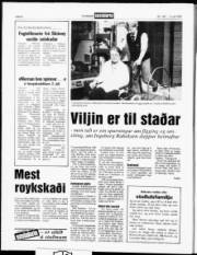 Síða 8
