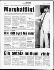 Síða 8