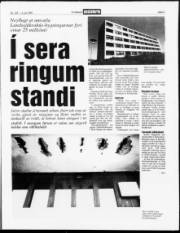 Síða 3