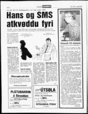 Síða 6