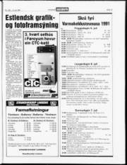 Síða 15