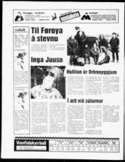 Síða 16