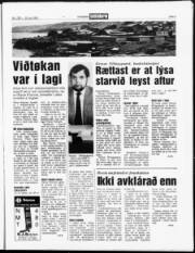 Síða 3