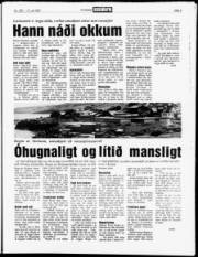 Síða 3