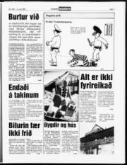 Síða 7