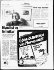 Síða 13